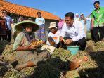 ketimpangan-pendapatan-di-desa-semakin-menurun.jpg