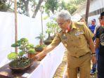 komunitas-pecinta-bonsai-batara-guru-kopi-bonsai-baru-luwu-timur-memamerkan-130-bonsai.jpg
