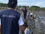 komunitas-tangan-di-atas-atau-tda-mangrove.jpg