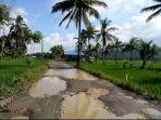kondisi-jalan-rusak-di-poros-koppe-waempubbu-yang-menghubungkan-kecamatan-ulaweng.jpg