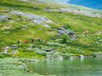 kungsleden_20170918_140509.jpg