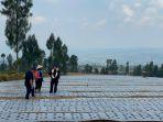 kunjungi-temanggung-mentan-syl-inginkan-scale-up-food-estate-hortikultura.jpg