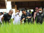 laporan-keuangan-kementan-2020-raih-opini-wtp-dari-bpk.jpg