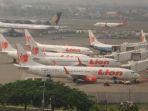 lion-air-1-472019.jpg