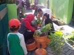 maccini-gusung_20160327_113654.jpg