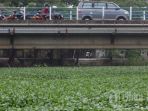makassar_20171014_224801.jpg