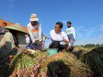 mentan-a-amran-sulaiman-saat-menemui-petani-bawang-di-jabar.jpg<pf>mentan-a-amran-sulaiman-saat-menemui-petani-jagung.jpg