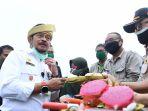 mentan-syahrul-yasin-limpo-tinjau-balai-benih-induk-bbi-dinas-ketahanan-pangan-di-kepri.jpg