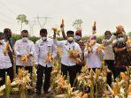 mentan-syl-panen-jagung.jpg