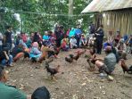 muslimin-bando-menghadiri-acara-adat-tomanurung_20171107_132513.jpg