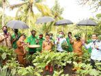 panen-jagung-dan-terong-di-rutan-majene.jpg