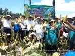 panen-raya-jagung-seluas-585-ha-di-kecamatan-sanrobone-sabtu-10112018.jpg