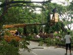 pekerja-melakukan-pemangkasan-ranting-pohon-di-jl-tun-abd-razak.jpg
