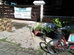 pengendara-sepeda-mini-ditemukan-tewas-di-depan-sebuah-rumah-warga.jpg