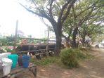 penjual-hewan-kurban-mulai-ramai-di-pinggiran-jalan-272021.jpg