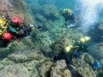 penyelam-amatir-temukan-harta-karun-di-bawah-laut.jpg