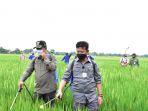 perkuat-perekonomian-mentan-syl-gerakan-padat-karya-di-karanganyar.jpg