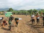 personel-tni-kodim-1403-sawerigading-melaksanakan-penanaman-jagung-di-lahan-kodim-1403_20180524_140927.jpg