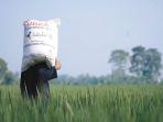 petani-bisa-tebus-pupuk-subsidi-mulai-1-januari.jpg