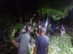 pohon-berukuran-besar-tumbang-menimpa-mobil-pick-up-di-Jl-Matahari-evakuasi.jpg