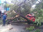 pohon-pohon-di-depan-rs-labuang-baji-jl-dr-ratulangi-makassar.jpg