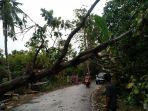 pohon-tumbang-di-desa-kaloling-kecamatan-gantarangkeke-bantaeng-selasa-792021.jpg
