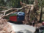 pohon-tumbang-di-jalan-poros-bantimurung-maros-membentang.jpg