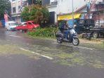 pohon-tumbang-di-jl-cendrawasih.jpg