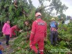 pohon-tumbang-evakusia-pohon-tumbang-di-Tambua-Desa-Tangkuru.jpg