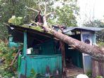 pohon-tumbang-yang-menimpa-rumah-warga-di-soddange-kelurahan-biru.jpg