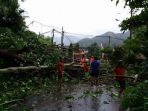 pohon-tumbang_20180311_092155.jpg