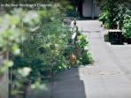 pokemon-go_20160708_162941.jpg