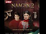 poster-naagin-2.jpg