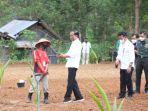 presiden-jokowi-melaksanakan-tanam-perdana-kelapa-genjah-11082022.jpg