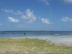 pulau-liukang-ini_20160809_130045.jpg