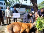 qurban-pln-uip-sulawesi.jpg