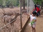 rusa1_20160903_183407.jpg