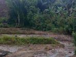 sawah-milik-warga-di-kelurahan-lakahang-alami-kerusakan-pasca-diterjang-banjir.jpg