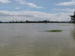 sawah-tenggela_20160616_195605.jpg