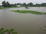 sawah-yang-berada-di-belakang-grand-mal-batangase.jpg