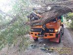 sebuah-pohon-besar-tumbang-dan-menimpa-truk-melintas-di-desa-marioriaja.jpg