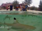 selayar_20171001_002325.jpg