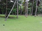 selfie_20160805_184552.jpg