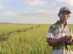 seorang-petani-di-data-kabupaten-maros-ismail-37.jpg