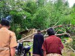 seorang-pria-di-toraja-utara-tewas-tertimpa-pohon-selasa-2552021.jpg