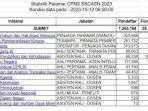 sidstatistikpelamar-Cara-Cek-Statistik-Pelamar-CPNS-2023-dan-PPPK-2023-Tiap-Instansi.jpg