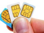 sim-card_20171030_130119.jpg