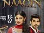 sinopsis-serial-naagin-episode-2-di-antv-2-desember-2020-detik-detik-naagin-ingin-balas-dendam.jpg