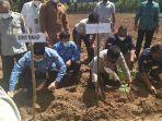 syahrul-yasin-limpo-didampingi-muhammad-yusran-lalogau-menanam-porang.jpg