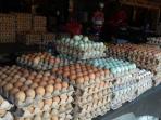 telur_20160712_152609.jpg